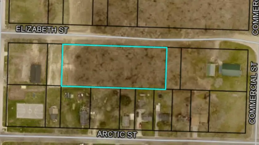 406 Elizabeth Street, Buchanan, MI 49107 - #1