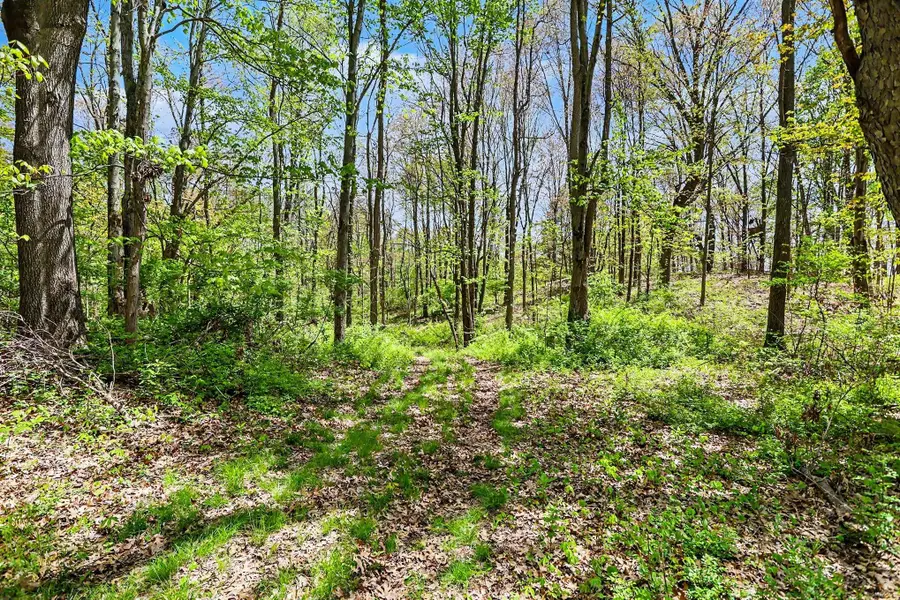 N Uldriks Road, Battle Creek, MI 49017 - #3
