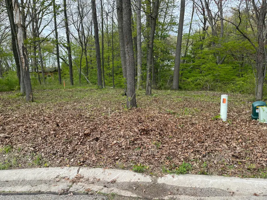 816 E Indiana Street, New Buffalo, MI 49117 - #3