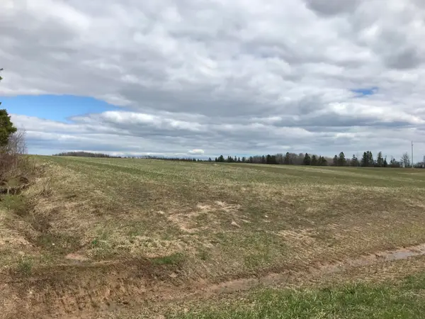 TBD S Clegg Road, Pickford, MI 49774