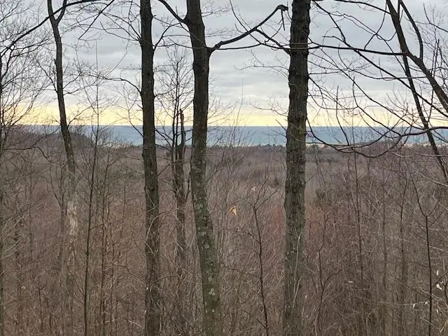Lot B Silver Vista, Mears, MI 49436 - #3