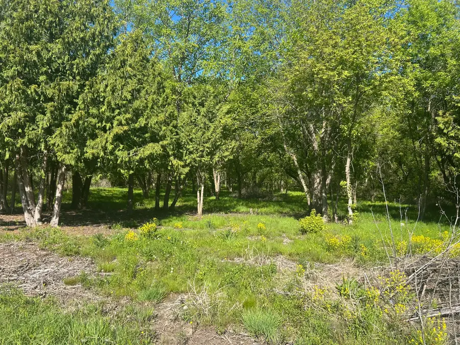 0 White Birch Trail, Charlotte, MI 48813 - #2