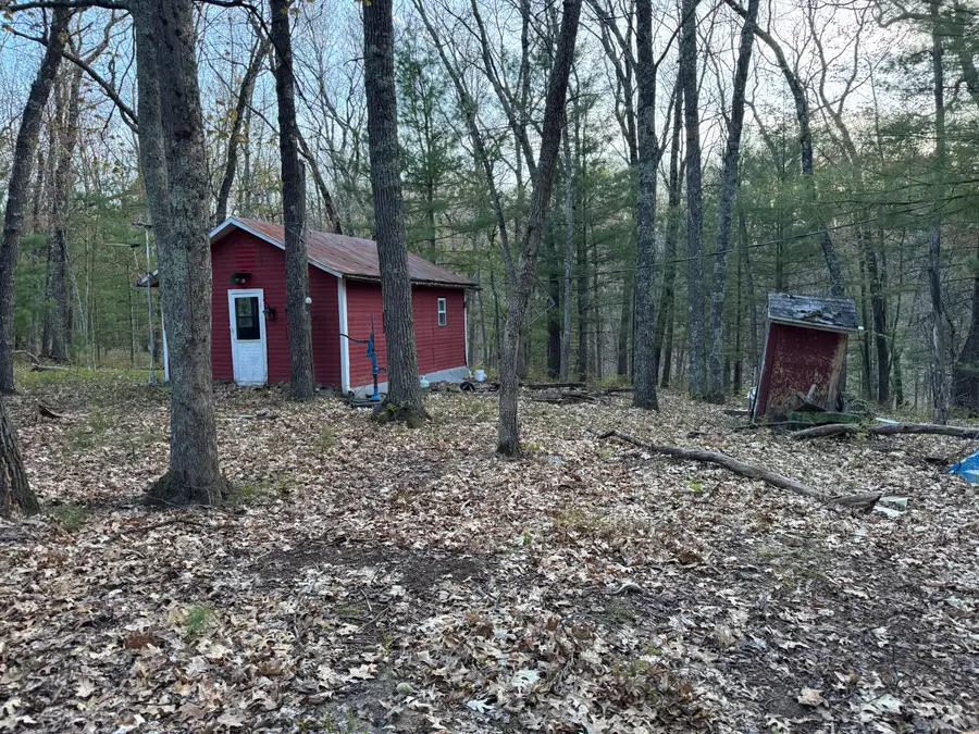 9075 S Larson Avenue, Baldwin, MI 49304 - #2