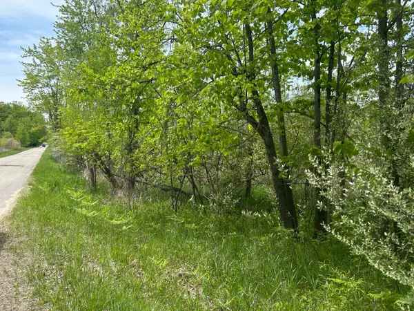 Elm Drive, Lakeview, MI 48850