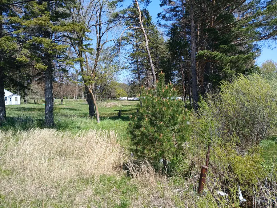 76 N Meyers Road, Ludington, MI 49431 - #3