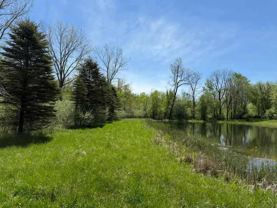 V/L Mcbride Road Nw, Stanton, MI 48888 - #2