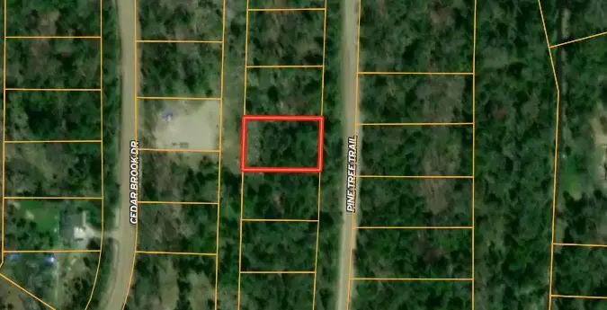 Pine Tree Trail Trail #822, Oscoda, MI 48750 - #2