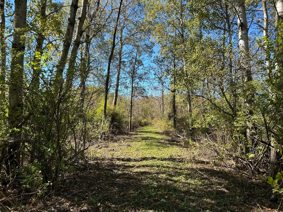 V/L 30th Avenue, Remus, MI 49340 - #1