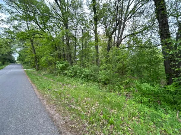 V/L House Street Ne, Belmont, MI 49306