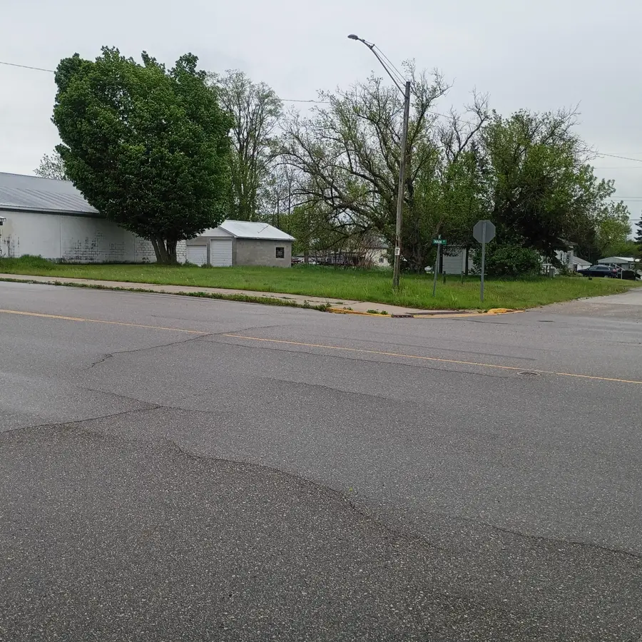 143 W Main Street, Walkerville, MI 49459 - #3