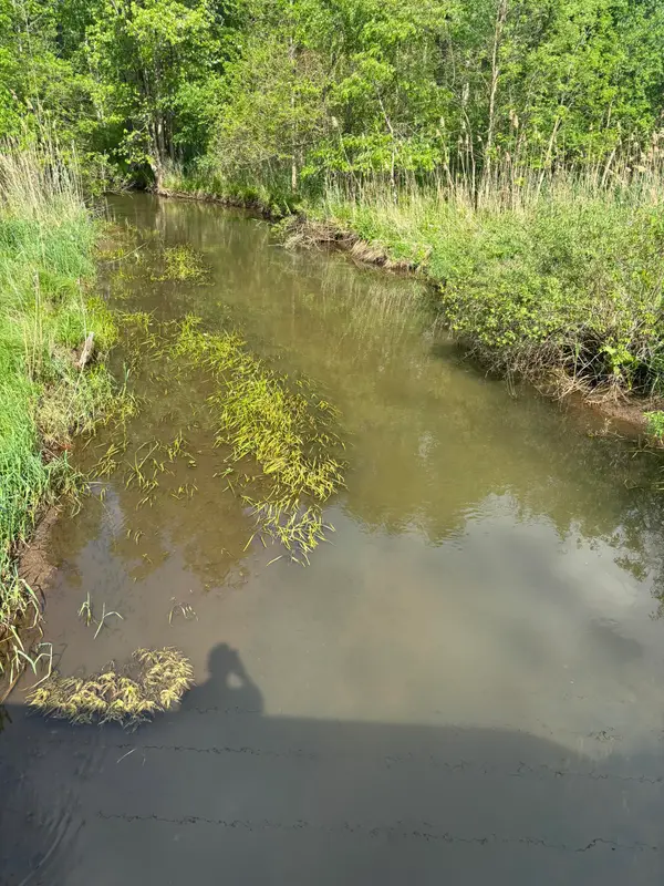 V/L Marshall Road, Tekonsha, MI 49092