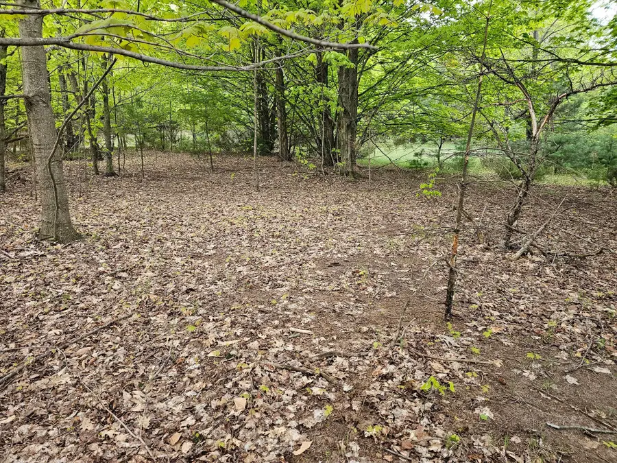 Sadie Lane, Bear Lake, MI 49614 - #3