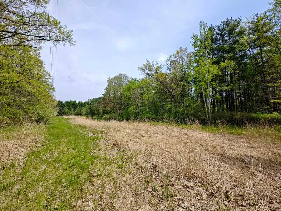 VL Tipsico Lake Rd Parcel A, Fenton, MI 48430 - #3