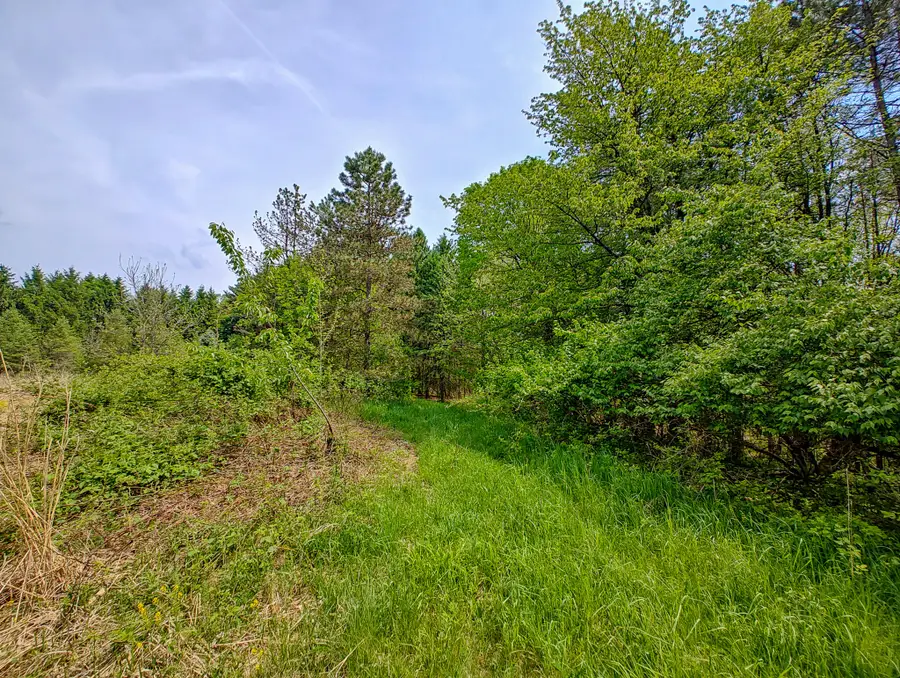 Vl Tipsico Lake Rd Parcel B, Fenton, MI 48430 - #3