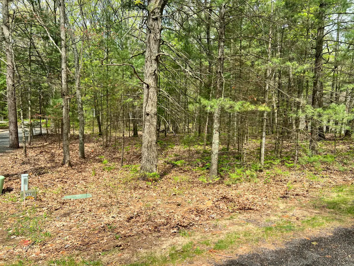 Lot 95 Iroquois Road, Pentwater, MI 49449 - #1