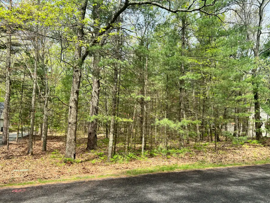 Lot 95 Iroquois Road, Pentwater, MI 49449 - #2