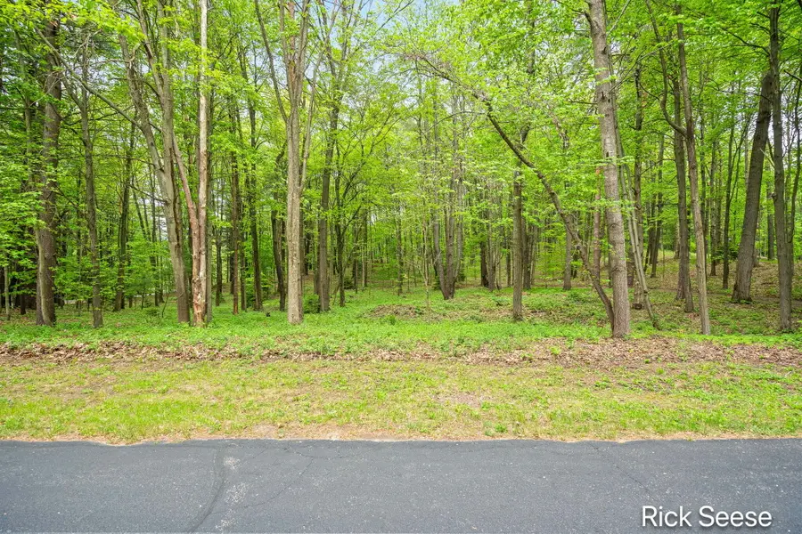 2855 Gulliford Drive Se, Lowell, MI 49331 - #2