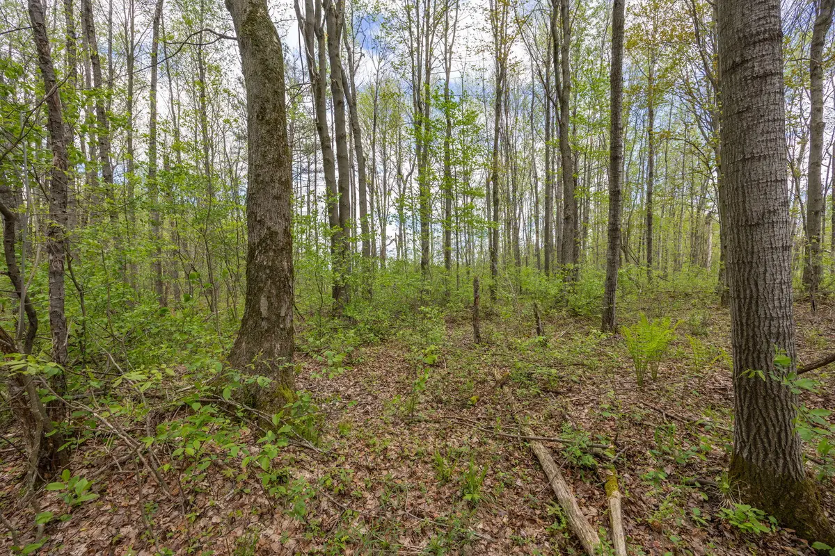 16130 140th Avenue, Leroy, MI 49655 - #1