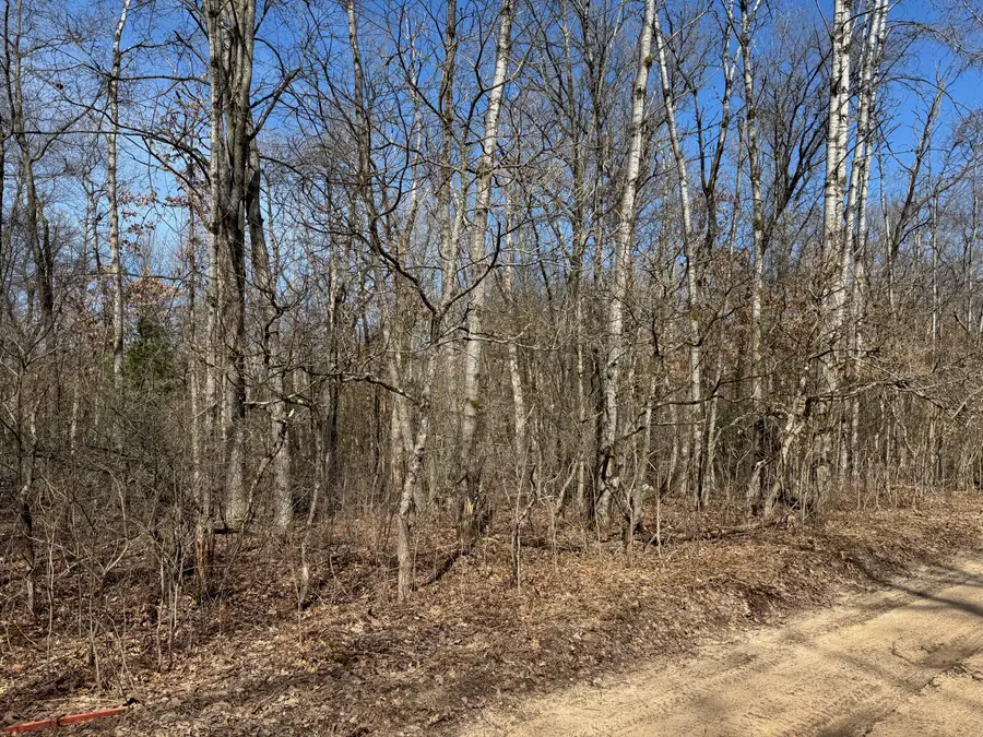Mary Street, Wellston, MI 49689 - #2