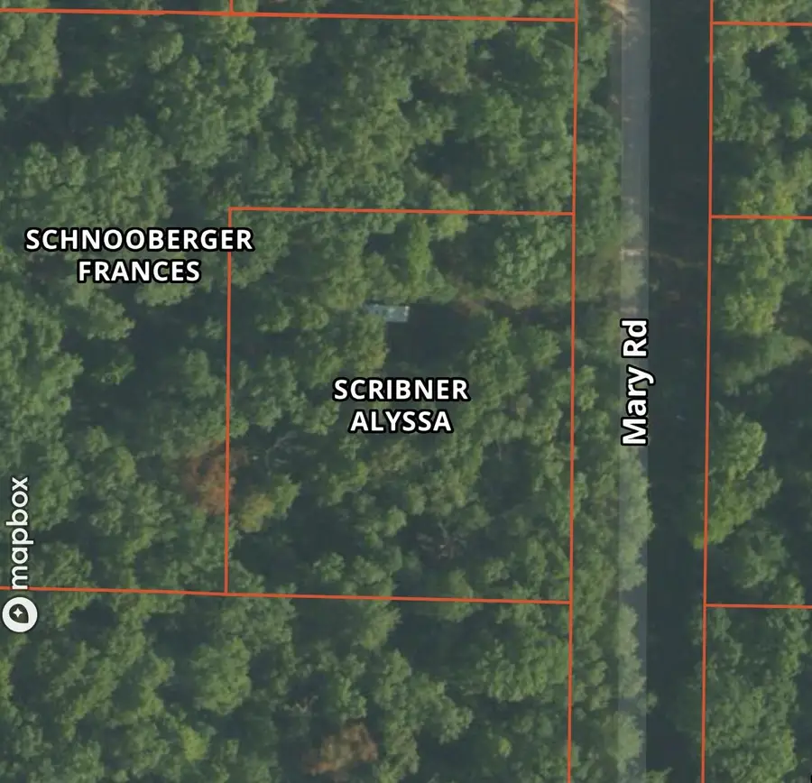Mary Street, Wellston, MI 49689 - #3