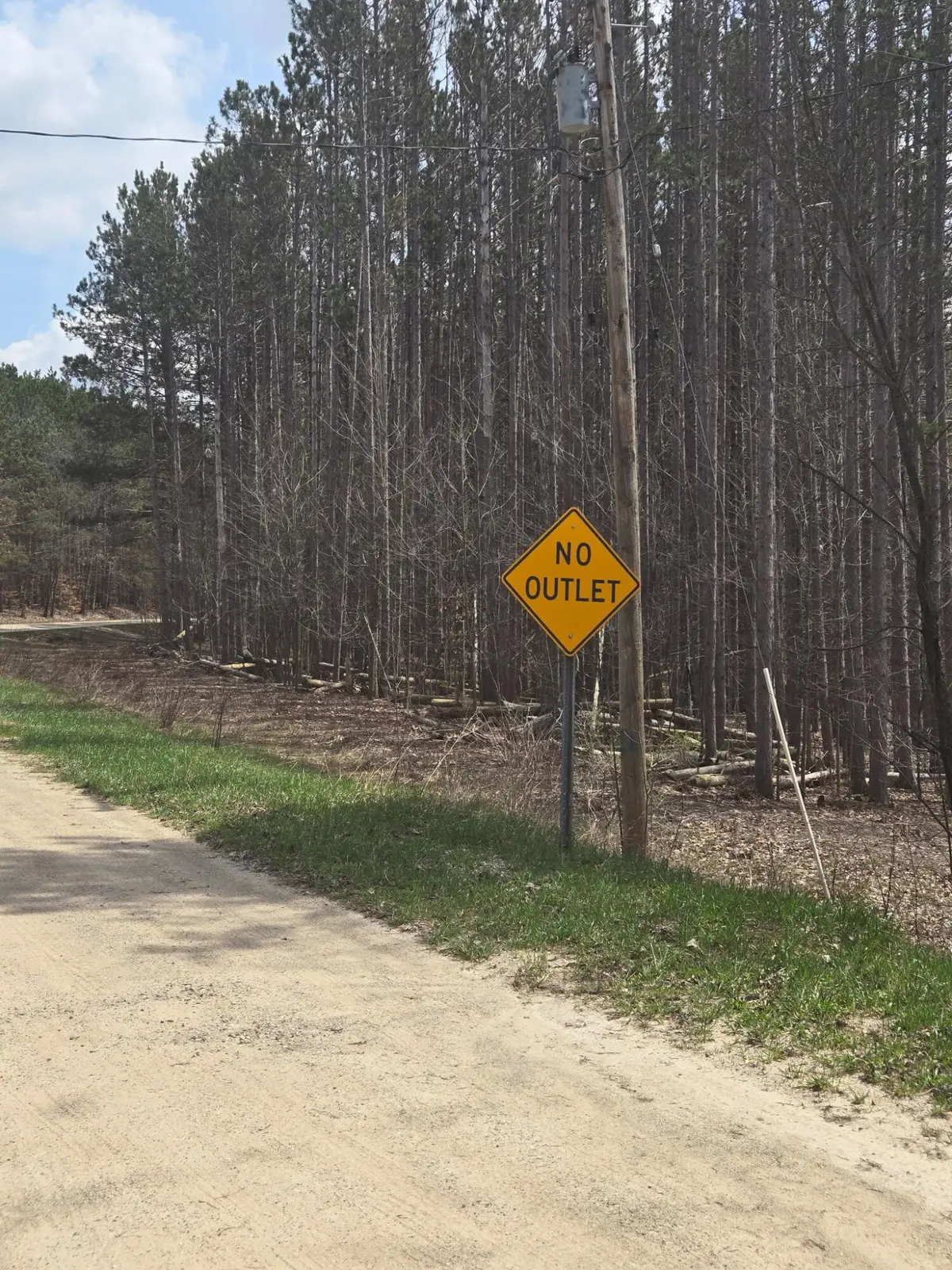 Bellefleur Drive #14, Bear Lake, MI 49614 - #1