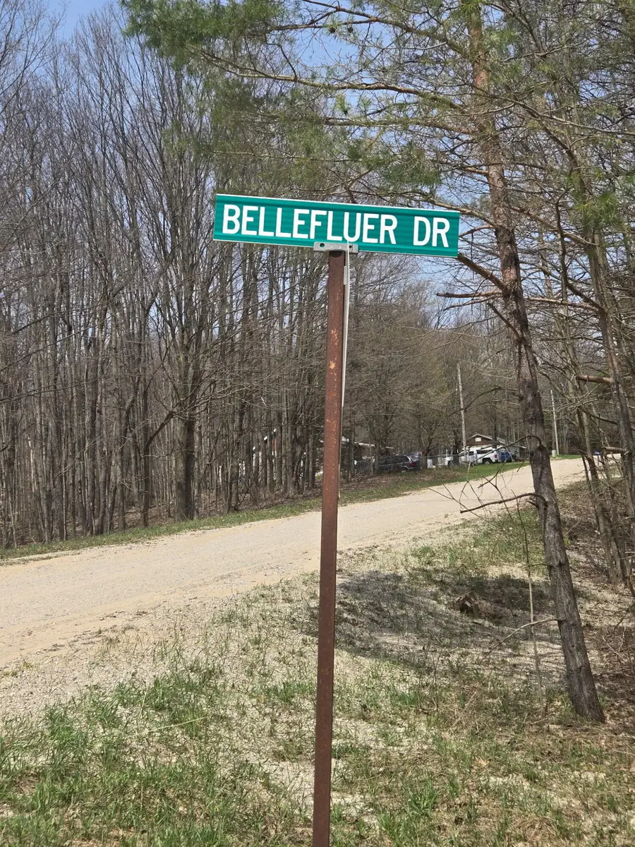 Bellefleur Drive #14, Bear Lake, MI 49614 - #2