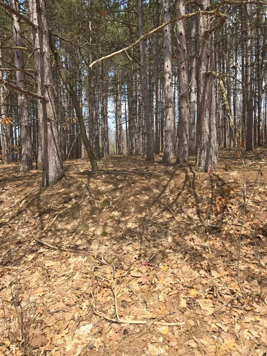 Bellefleur Drive #14, Bear Lake, MI 49614 - #3