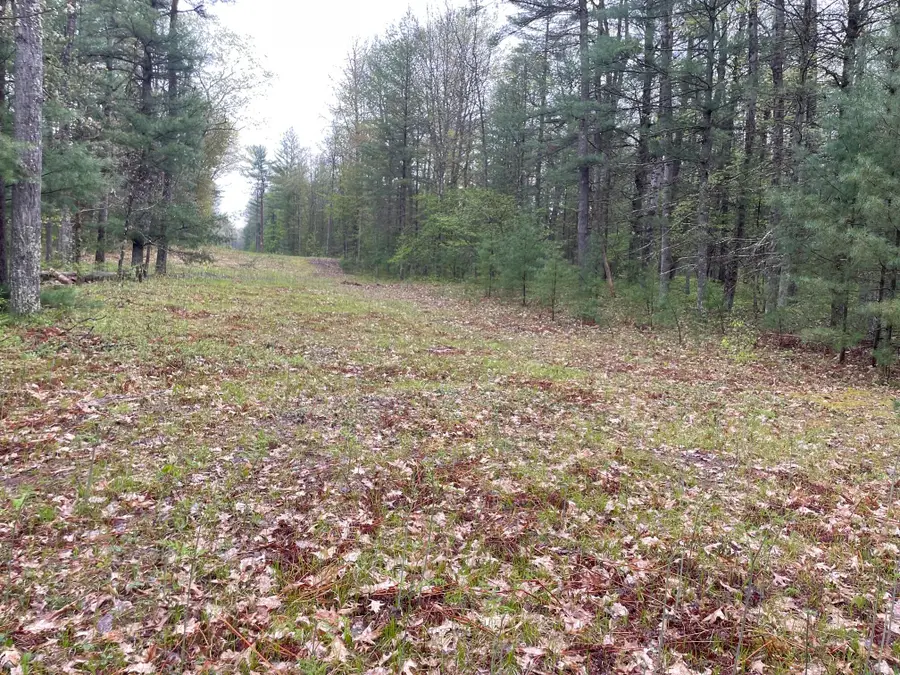 V/L E Pomeroy Springs Road, Irons, MI 49644 - #2