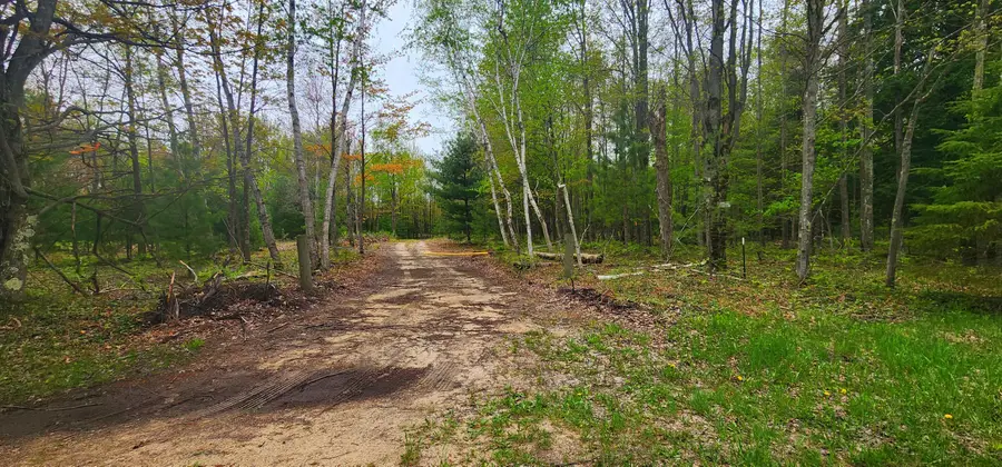 2187 W Koenig Road, Manistee, MI 49660 - #2