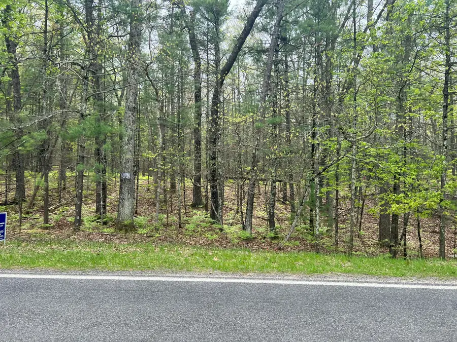 Lot 114 Longbridge Road, Pentwater, MI 49449 - #3