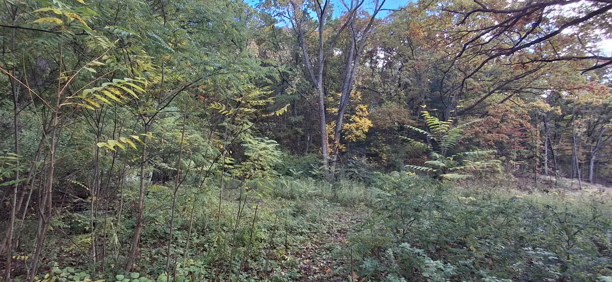 5080 Hunsberger Avenue Ne, Grand Rapids, MI 49525 - #1