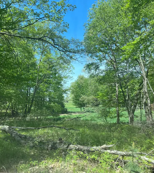 3685 Cypress Road, Blanchard, MI 49310