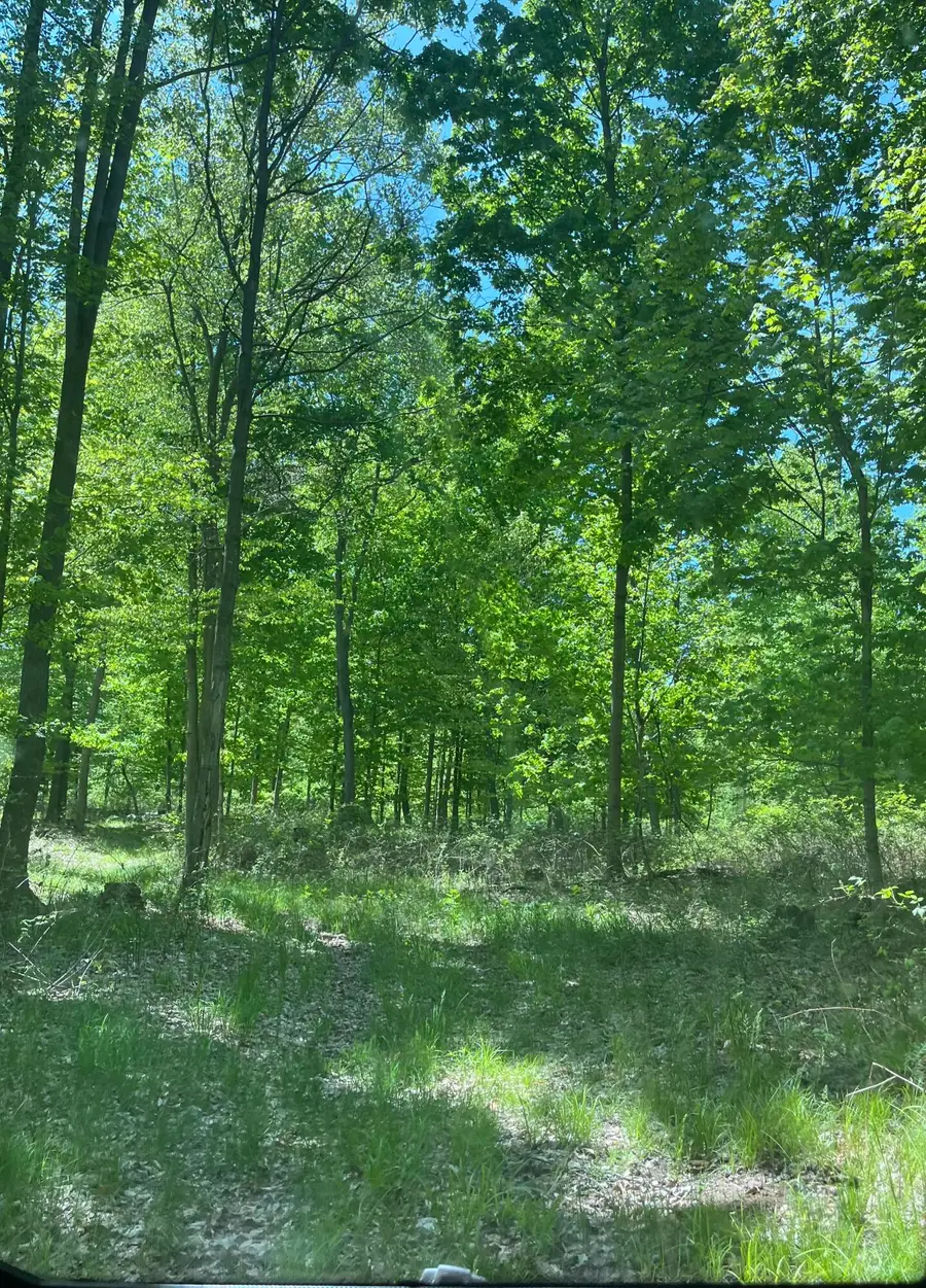 3685 Cypress Road, Blanchard, MI 49310 - #3