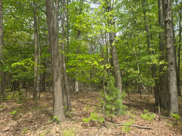 VL N Ridge Road, Mears, MI 49436