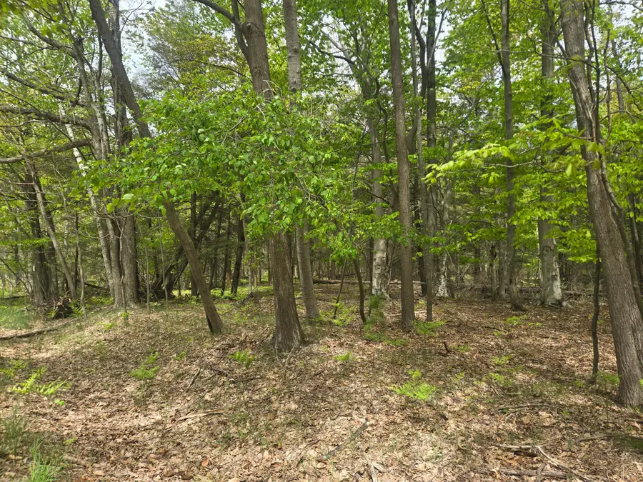 VL N Ridge Road, Mears, MI 49436 - #3