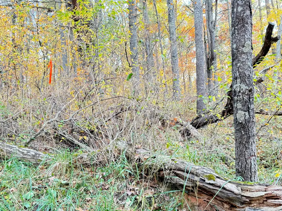 7.32AC E 58th Street, Newaygo, MI 49337 - #2