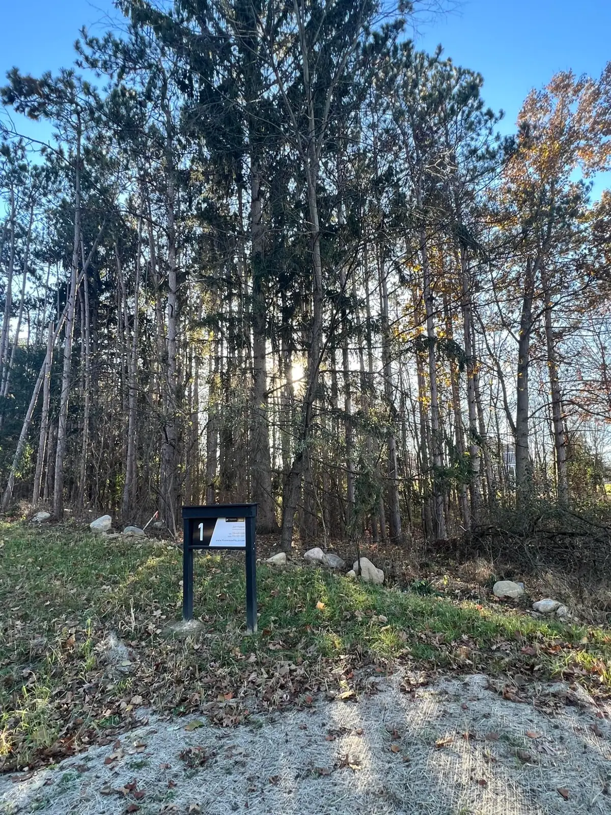 6825 Morrison Hls Court, Dexter, MI 48130 - #1