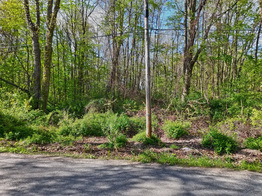 VL Ellen Road, Dowagiac, MI 49047 - #3
