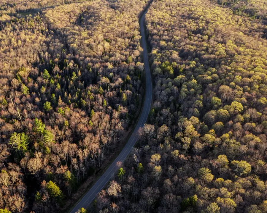 Lot 7 Federal Forest Highway 16, Iron River, MI 49935 - #3