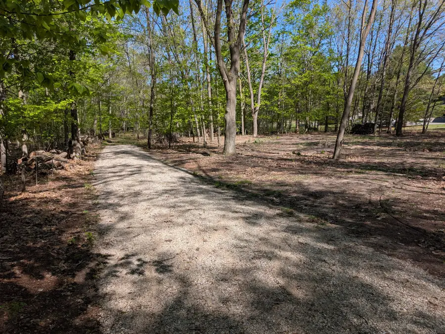 8933 S East Torch Lake Drive, Alden, MI 49612 - #3