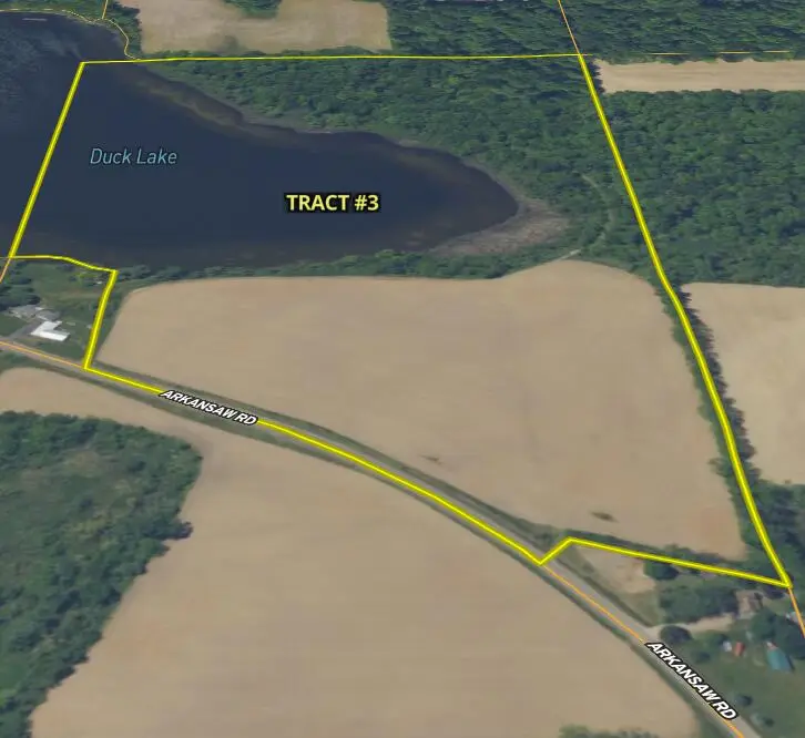 000 Arkansaw Tract 3, Allen, MI 49227 - #2