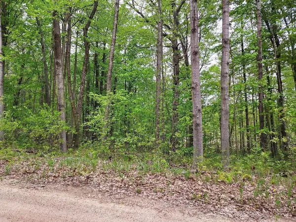00 Buck Lane #66, Harrison, MI 48625