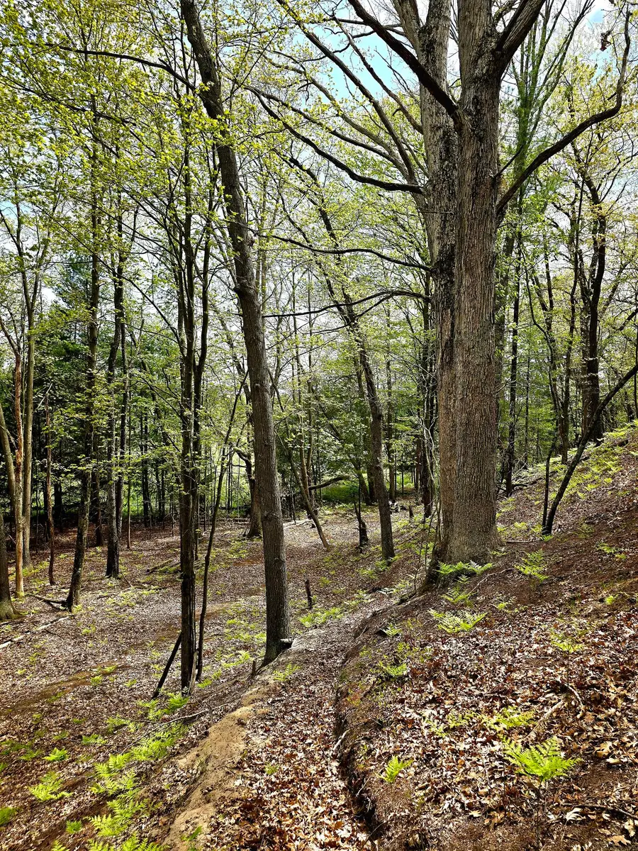 Topping Ave, Pentwater, MI 49449 - #3
