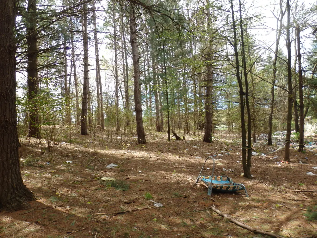 20192 9 Mile Road, Copemish, MI 49625 - #1