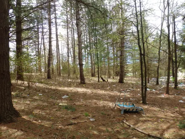 20192 9 Mile Road, Copemish, MI 49625