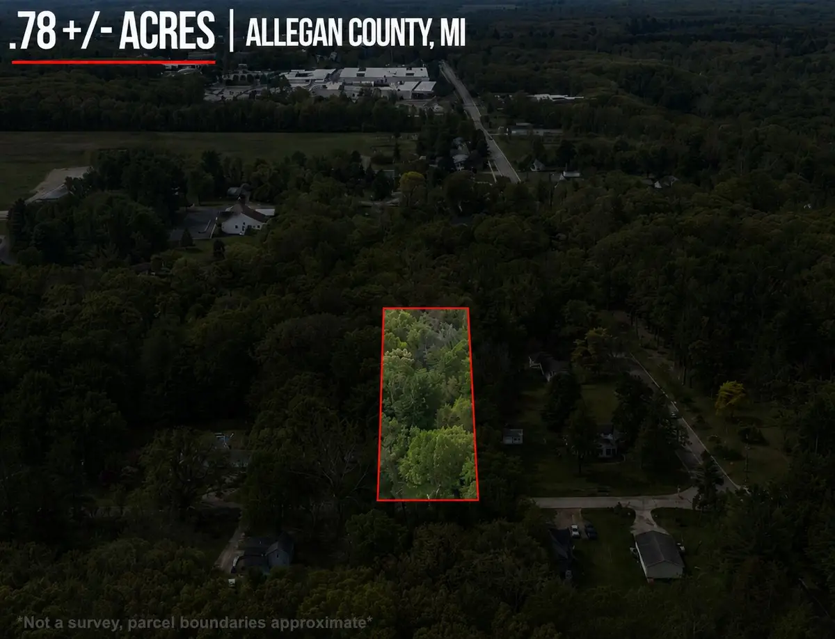 202 Lowe Street, Allegan, MI 49010 - #1