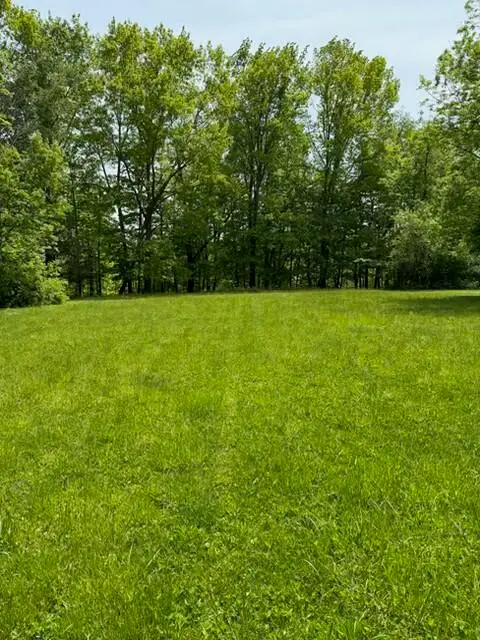 0 Paw Paw Avenue, Watervliet, MI 49098 - #2
