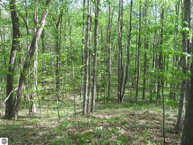 00 M-115, Tustin, MI 49688 - #2
