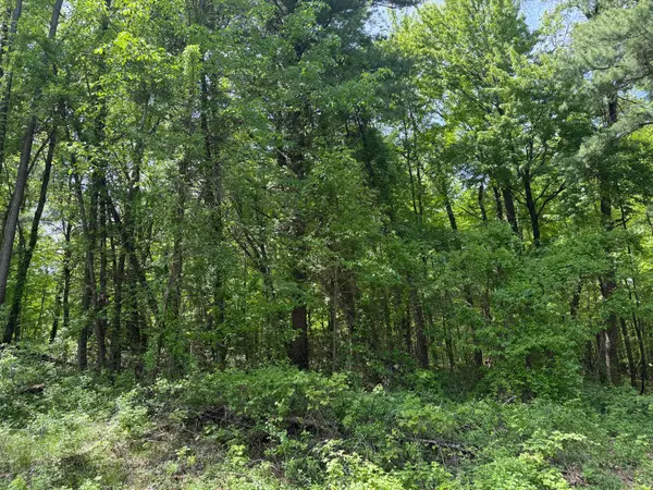TBD Bailey Drive Ne, Ada, MI 49301
