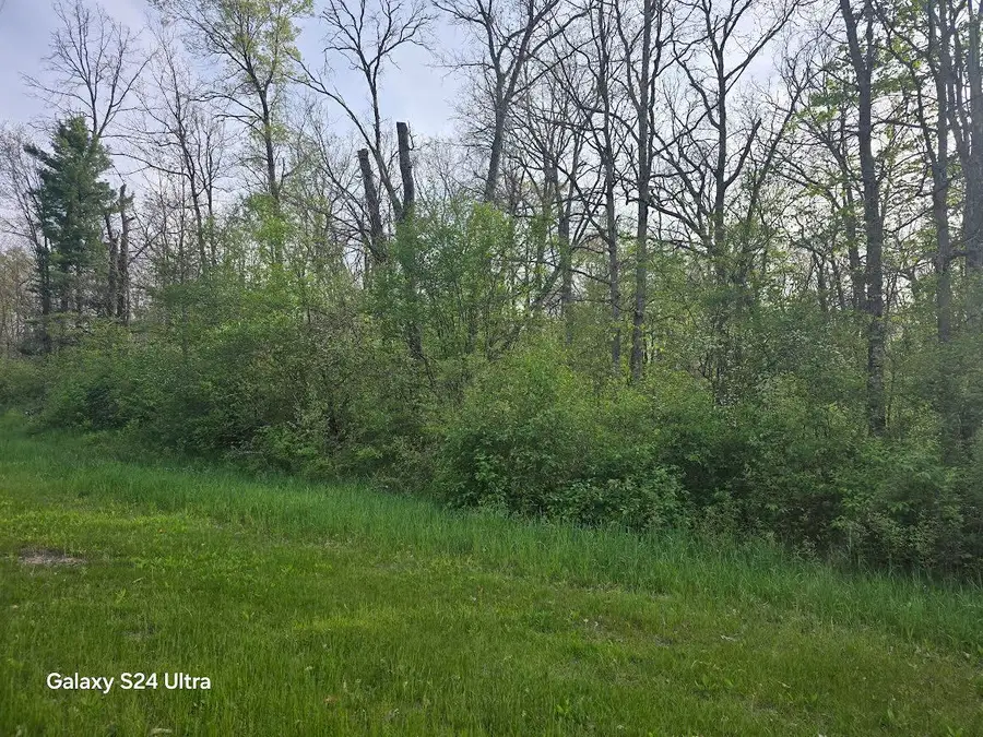 5042 W Jeffers Street #Par 4, Irons, MI 49644 - #2